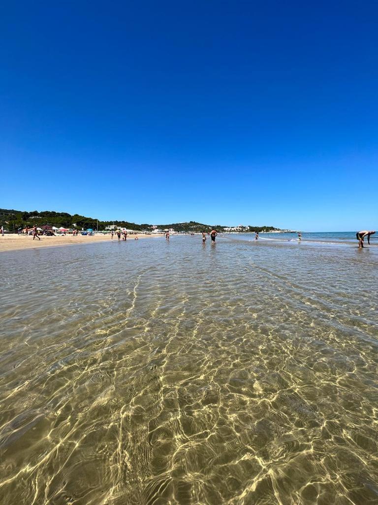 Appartamenti Le Porte Del Gargano Vieste Dış mekan fotoğraf